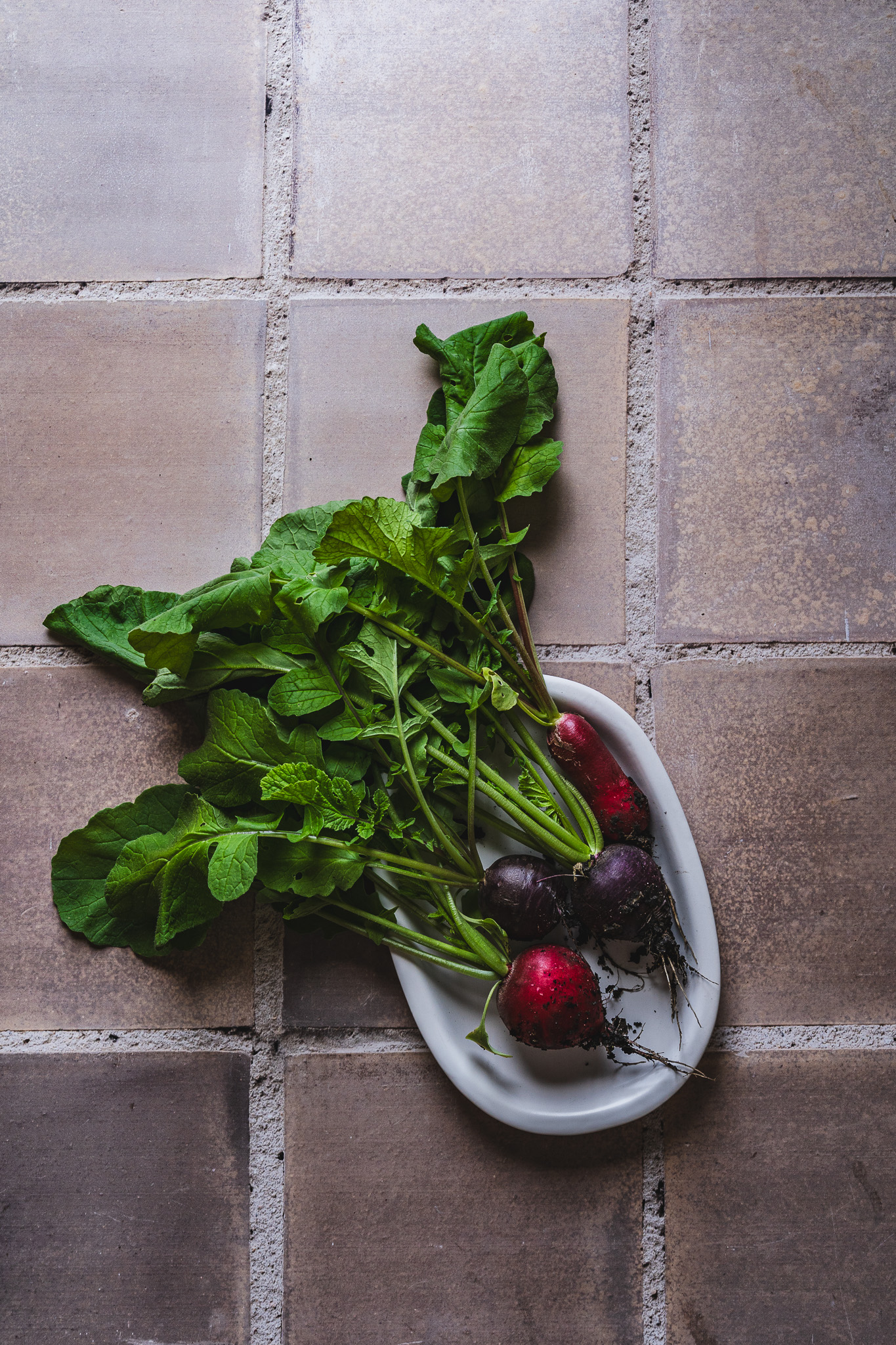 Kolekcja Teł do zdjęć Barcelona